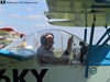 HM293 canopy detail