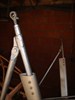 DSC00347.jpg