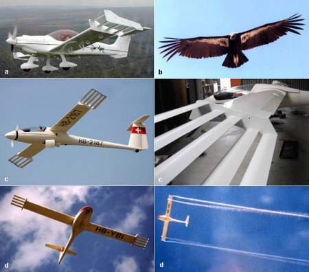 Winggrid B_1